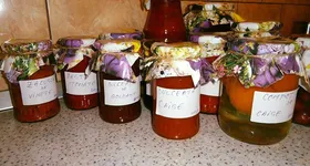 Galerie foto - poza 1