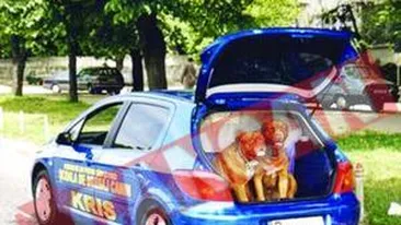 Taxiuri pentru animale