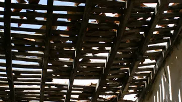 Nunta cu surprize! I-a cazut o bucata de 16 metri din tavanul fals in cap cand era la masa!