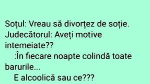 BANCUL ZILEI | Motive "întemeiate" de divorț