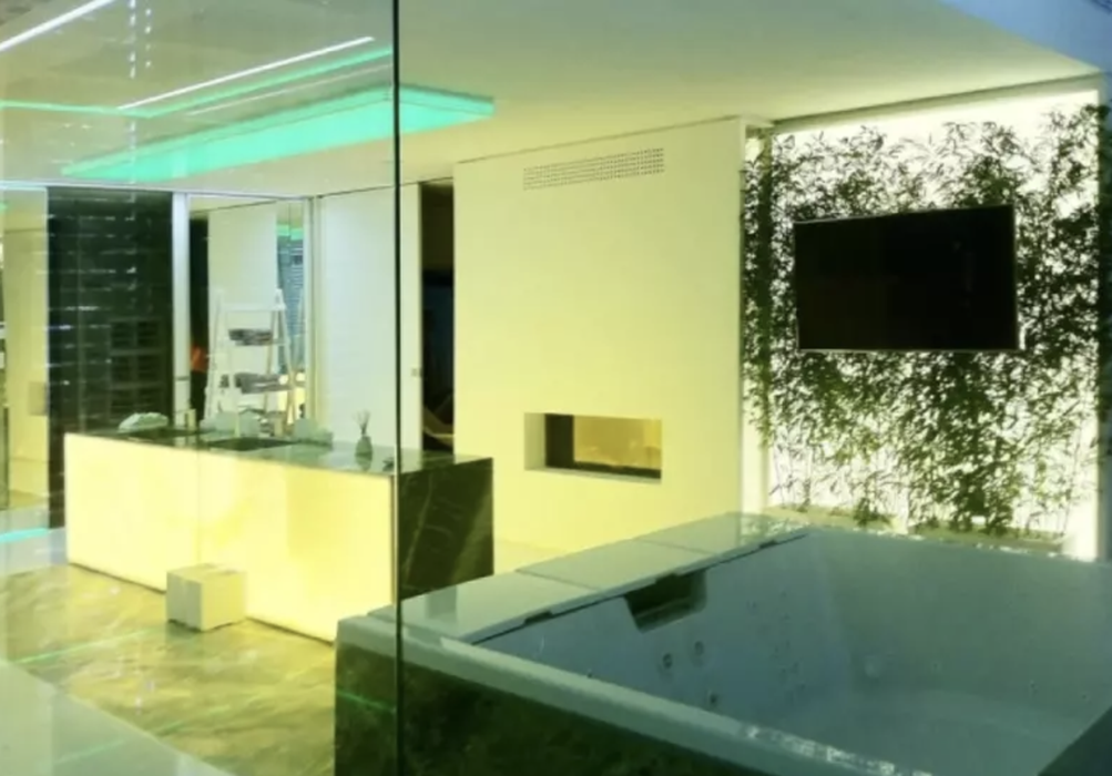 Apartamentul lui Ion Ţiriac/foto: Wall-street.ro