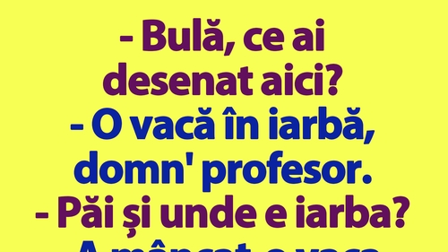 BANC | "Bulă, ce ai desenat aici?"