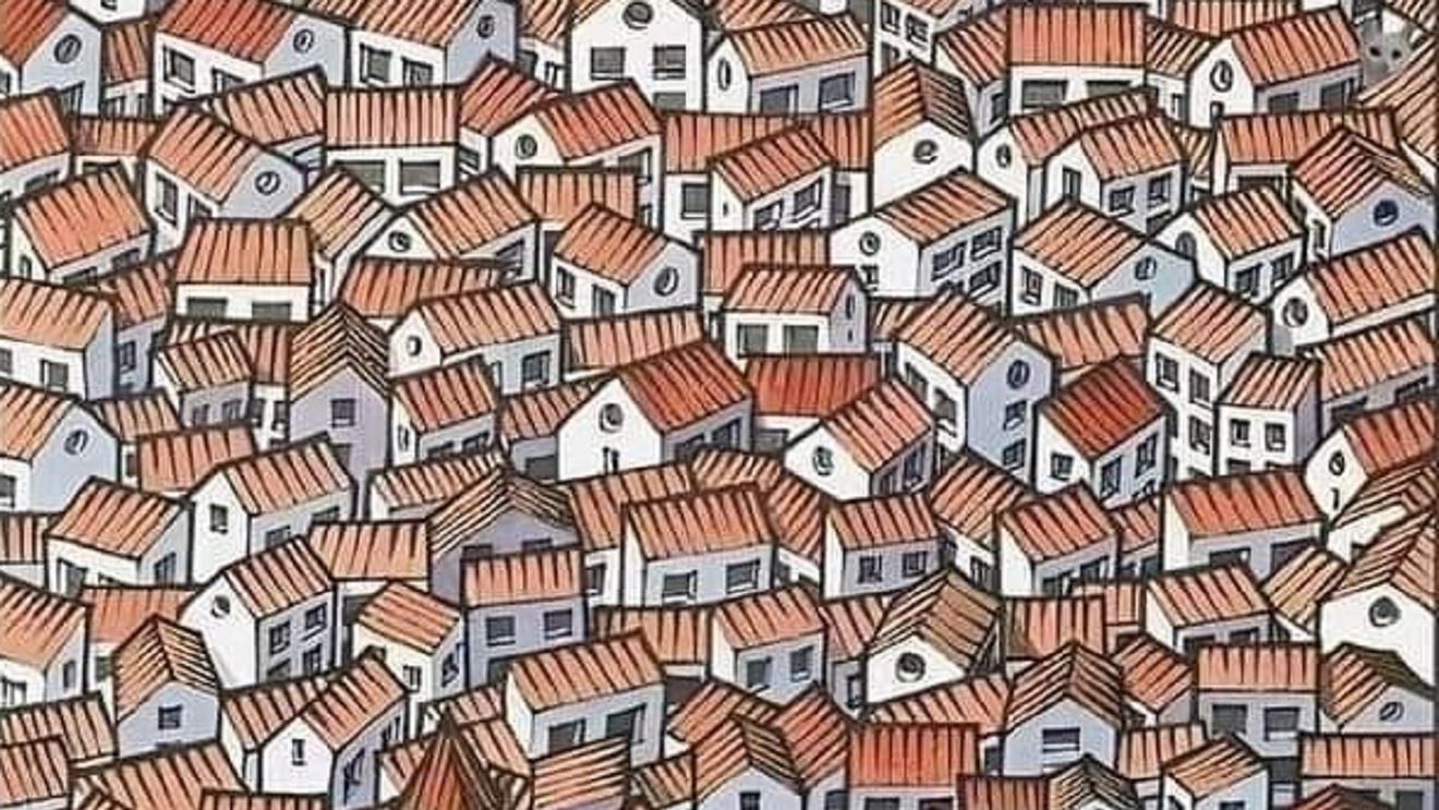 TEST DE VEDERE | Găsește animalul din poză! Doar 10 la sută dintre oameni văd pisica în primele 30 de secunde