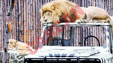 Adopta un animal de la Zoo!