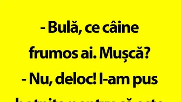 BANC | Câinele lui Bulă