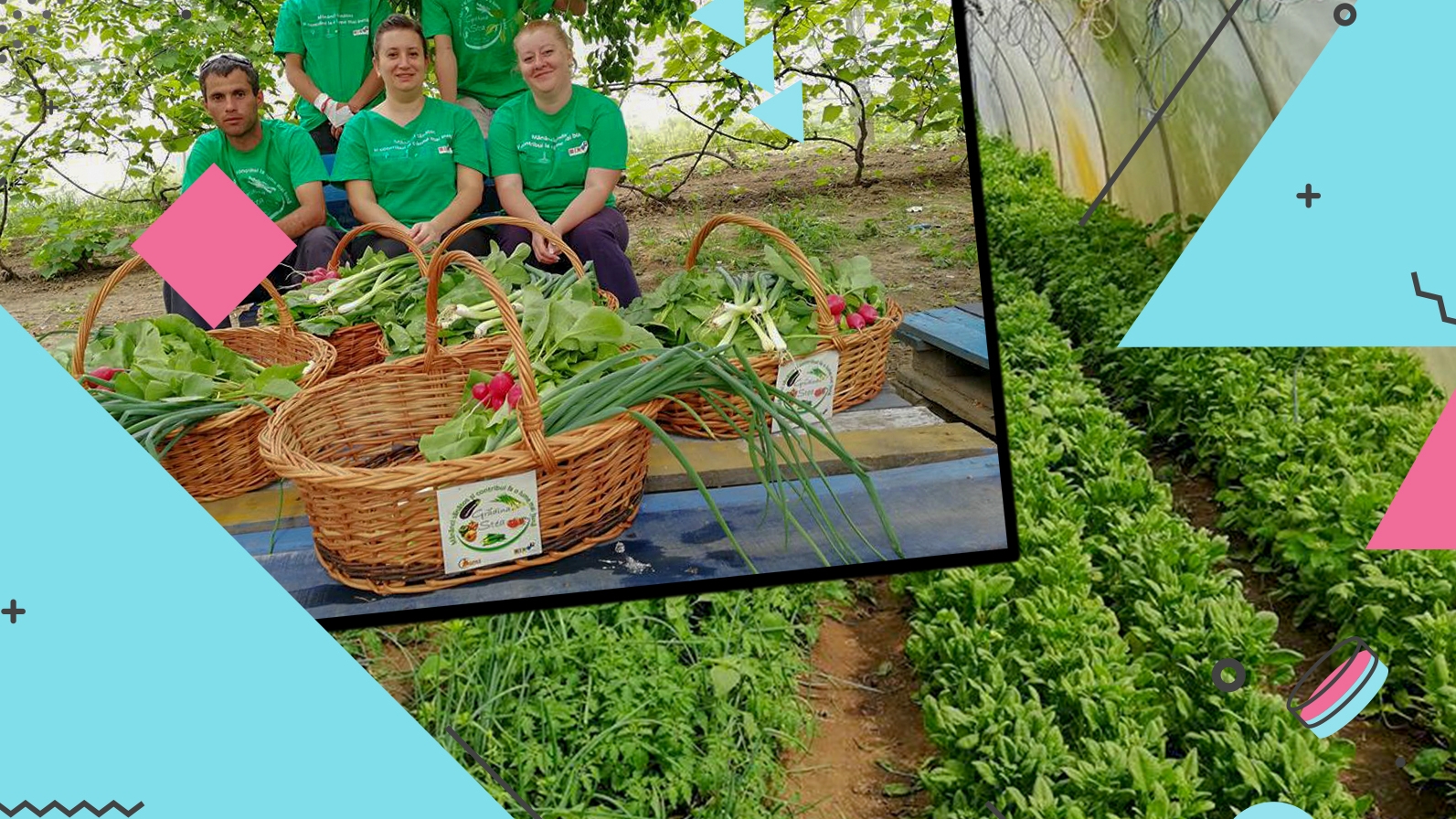 Fabrica de agricultori