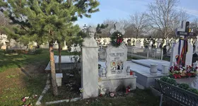 Galerie foto - poza 2