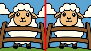 Test de logică | În maximum un minut, identificați toate cel 3 diferențe dintre aceste două oi