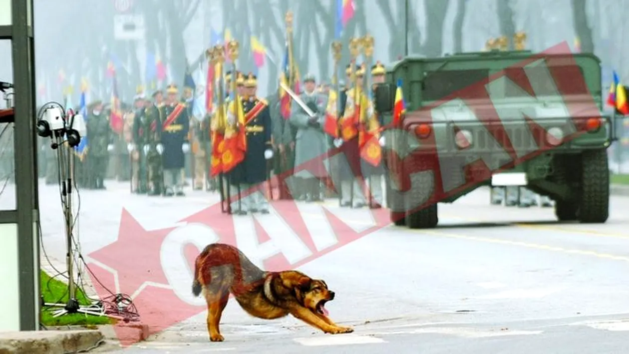 Ce plictiseala la parada militara!