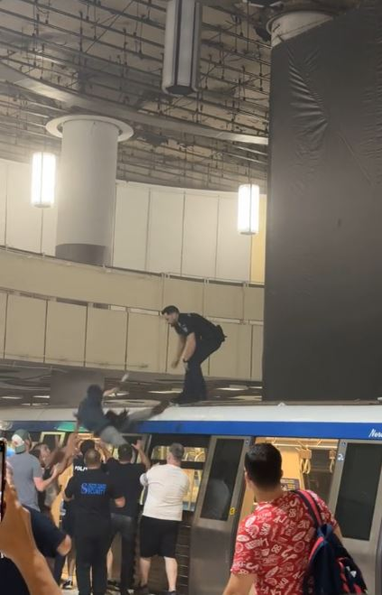 Polițiștii au intervenit pentru prinderea unui bărbat care a urcat pe garnitură, la metrou / sursă: captură video