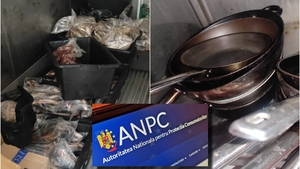 Cum erau ținuți peștii la cel mai căutat restaurant din Costinești. Directorul ANPC s-a minunat. „Se duc singuri în frigider”