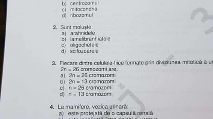 Bacalaureat 2022 | Rezolvarea subiectelor la biologie, a treia probă de la BAC