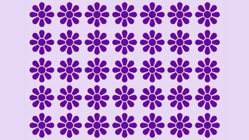Test de logică | Doar una dintre aceste 35 de flori este diferită de celelalte. Identificați-o!