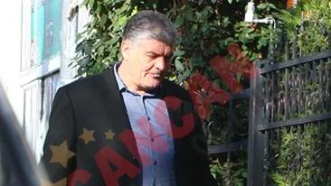 Falcosul mesteca si scuipa