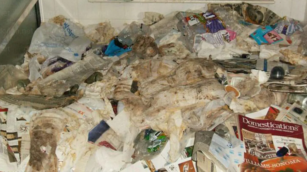 Credeai ca la tine in casa e dezordine si murdar?! O sa-ti vina sa vomiti cand o sa vezi in ce conditii traiesc astia - Sobolanii au fugit de la ei din casa pentru ca nu mai suportau mirosul