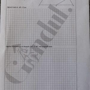 Barem Matematică la Evaluarea Naţională 2021. Cum se rezolvau subiectele