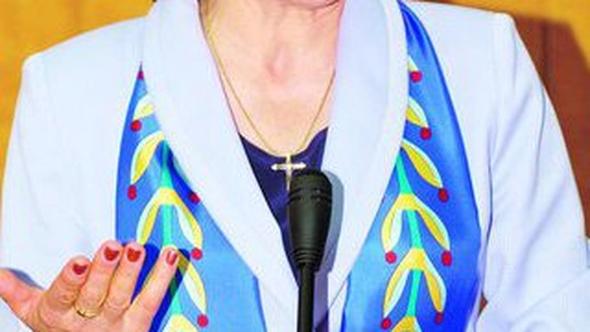 Ecaterina Andronescu are amant?