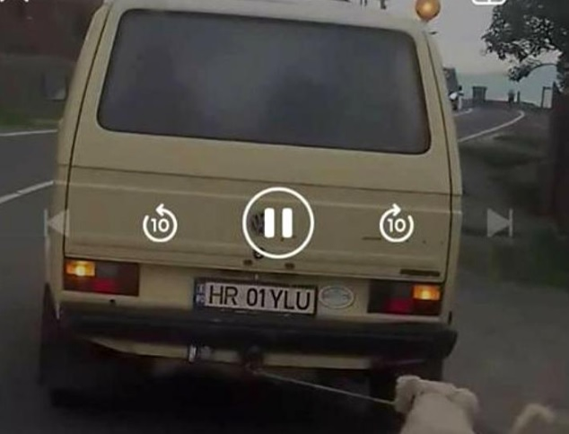 Halucinant! Cine este bărbatul din Harghita care a legat câinele de mașină și l-a târât pe șosea