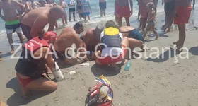 Galerie foto - poza 1