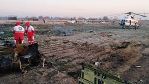 Tragedie aviatică. Un avion Boeing 737 cu 180 de persoane la bord s-a prăbușit imediat după decolare