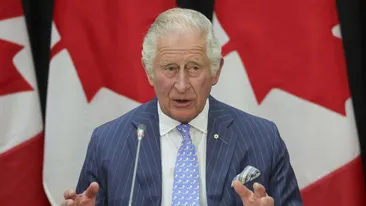 Ce pățești dacă arunci cu ouă în Regele Charles. Decizia luată de judecătorii din Marea Britanie