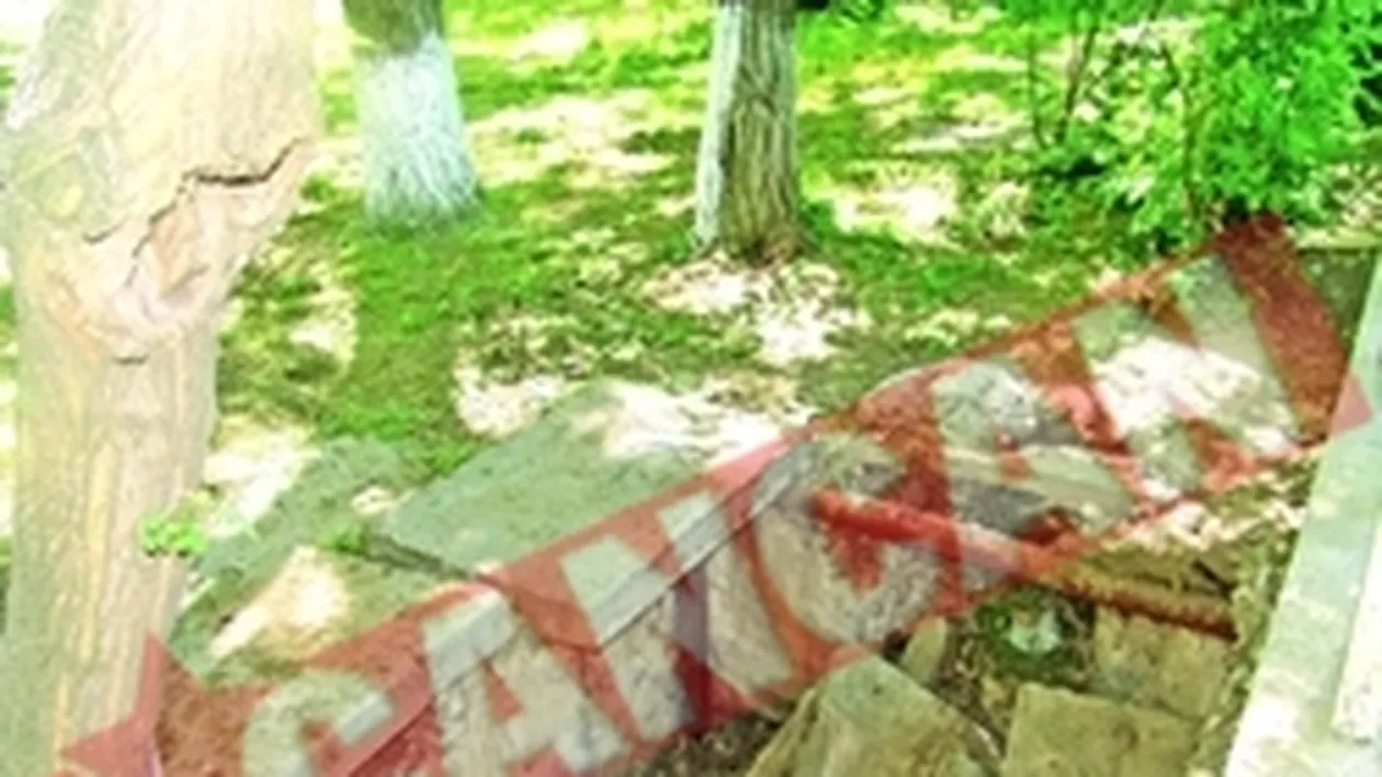 Copii inghititi de canal