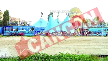 Rechinii si anacondele au invadat Moghiorosul