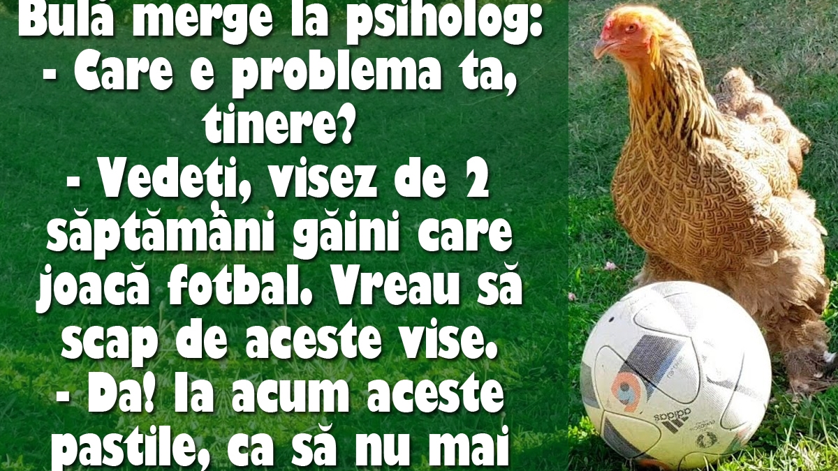 BANC | Bulă visează găini care joacă fotbal