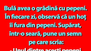 BANC | Bulă avea o grădină cu pepeni