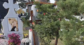 Galerie foto - poza 3