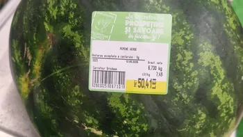 Cezar din București a cumpărat un pepene din Carrefour, pe care a dat 50 lei. Ajuns acasă. l-a tăiat. Ce era în interior, de fapt