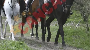 Simona Sensual, colega la calarie cu Maria Basescu