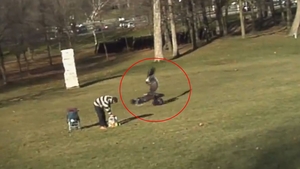 VIDEO Imagini rupte din Jurassic Park! Un vultur si-a infipt ghearele intr-un copilas de doi ani si l-a luat in zbor