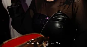 Galerie foto - poza 2