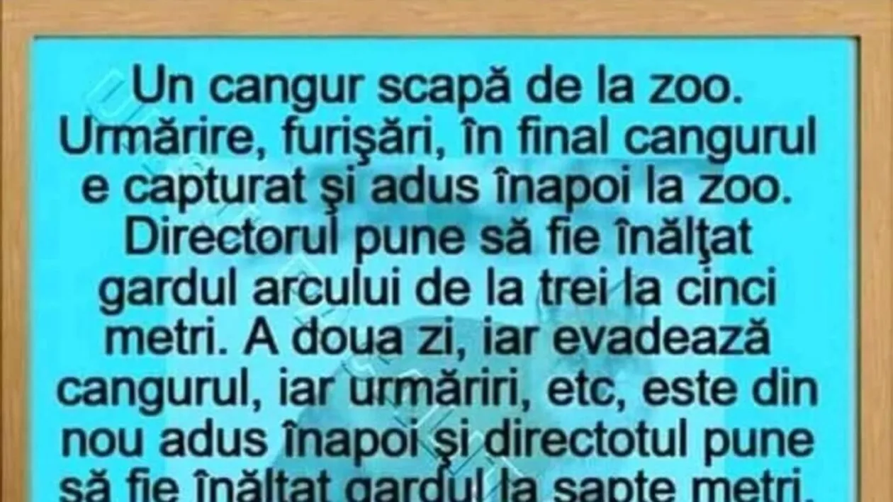 BANCUL ZILEI | Un cangur scapă de la zoo