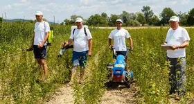 Galerie foto - poza 4