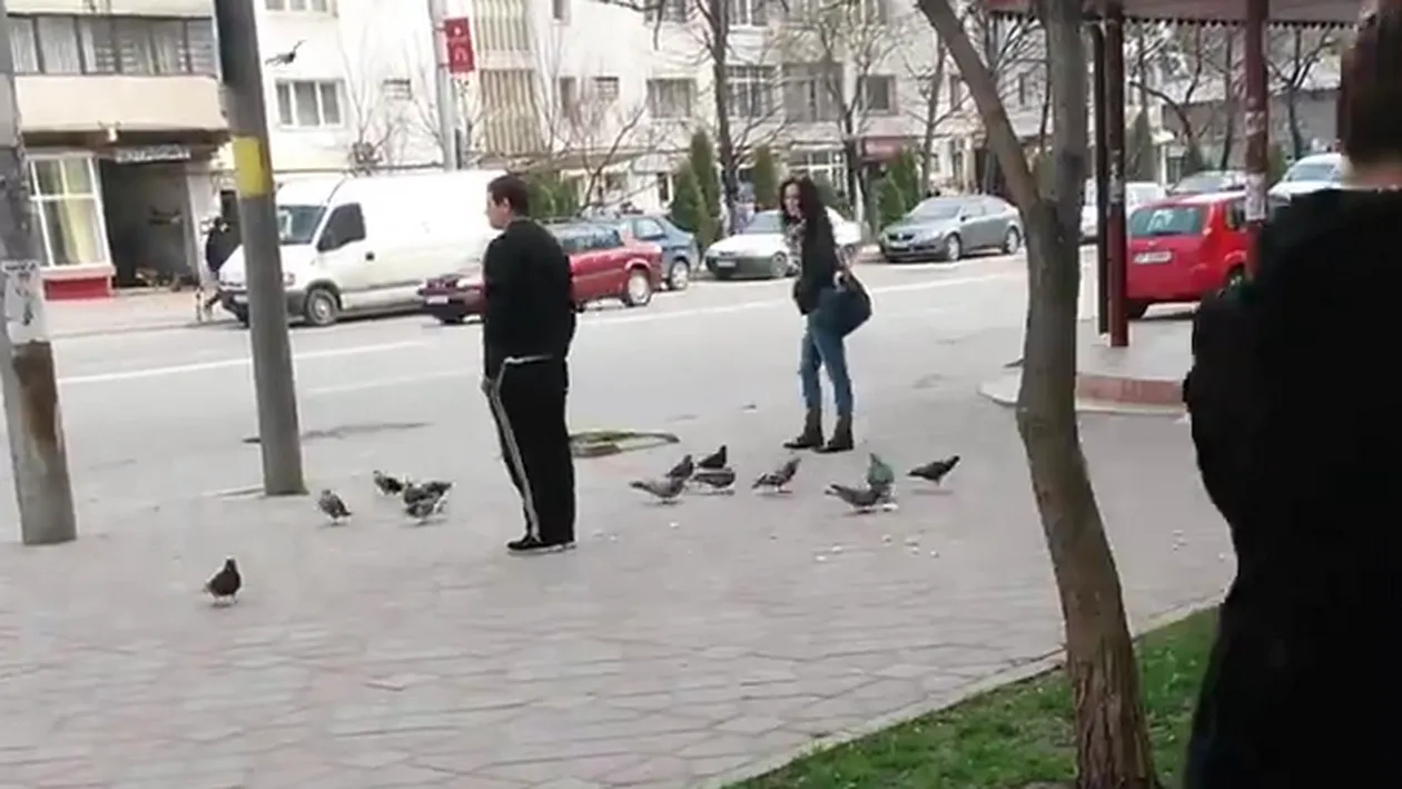 Ce face un roman cand foamea in aduce la disperare! Fura porumbeii de pe strada!
