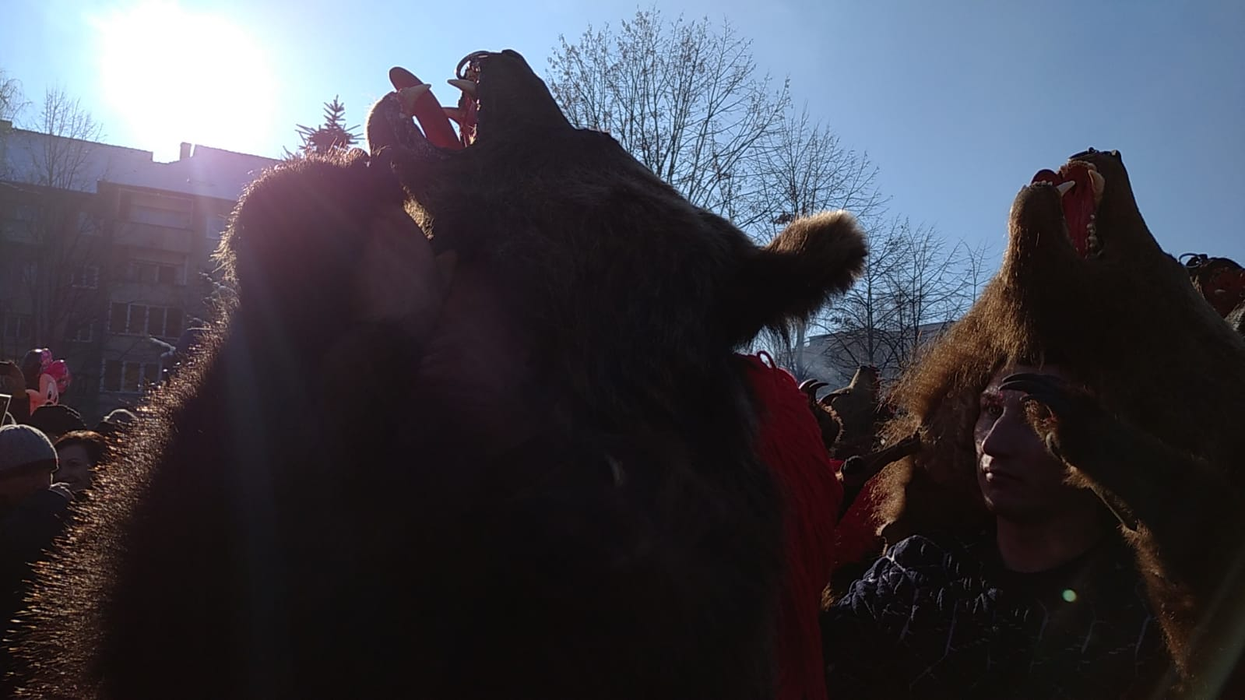 Ionuț Iftimoaie, în mijlocul ”urșilor” de la Comănești! GALERIE FOTO + VIDEO