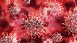 Bilanț coronavirus România, 14 septembrie 2021. 96 de decese s-au înregistrat în ultimele 24 de ore
