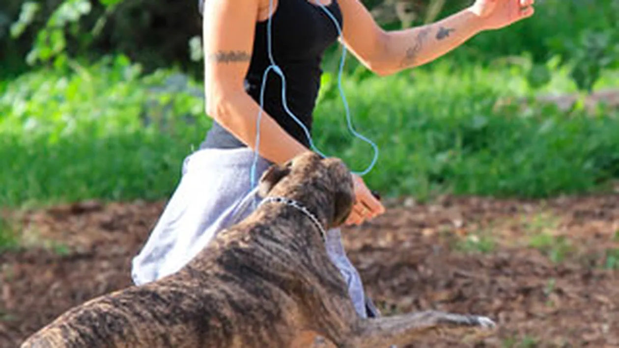 A sarit cainele la ea - Aflati aici despre ce este vorba