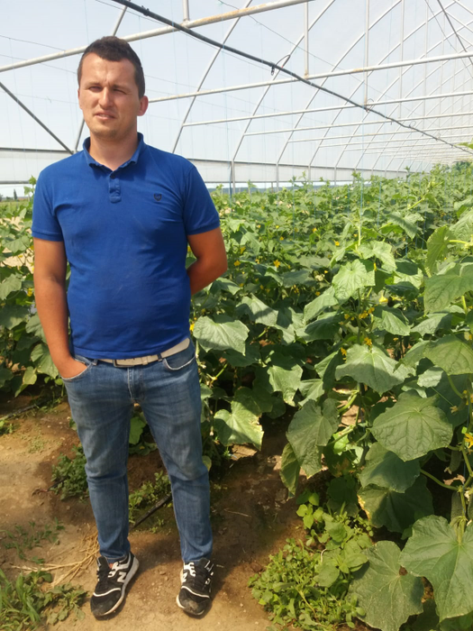 Legumicultorii sunt nemulțumiți de prețurile care li se oferă