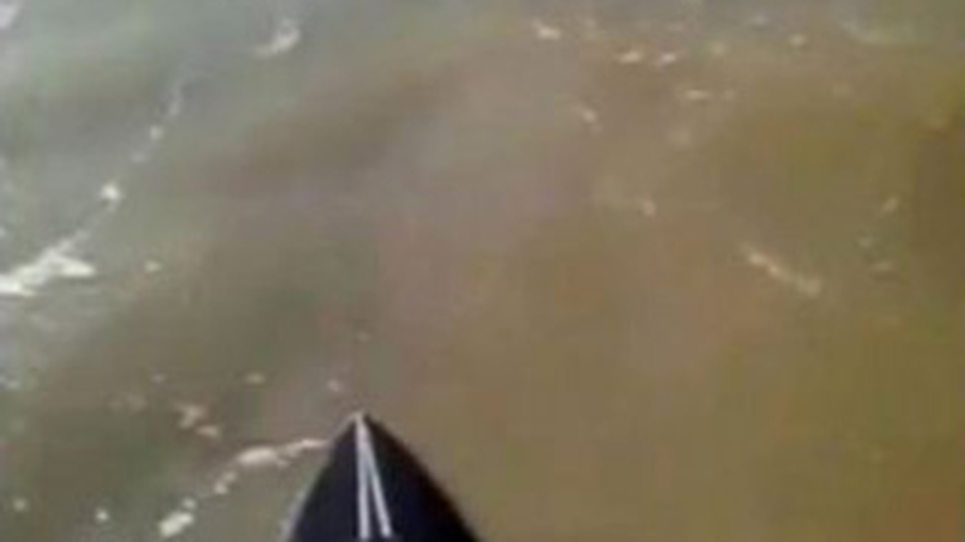 VIDEO O sa-ti dea lacrimile! Momentul emotionant cand un canotor extrem a salvat un catelus de la inec!