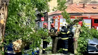 Vijeliile au făcut prăpăd în București și alte 60 de localități din 14 județe. S-au înregistrat victime și pagube materiale
