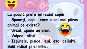 BANC | Bulă și "doamna de muzică"