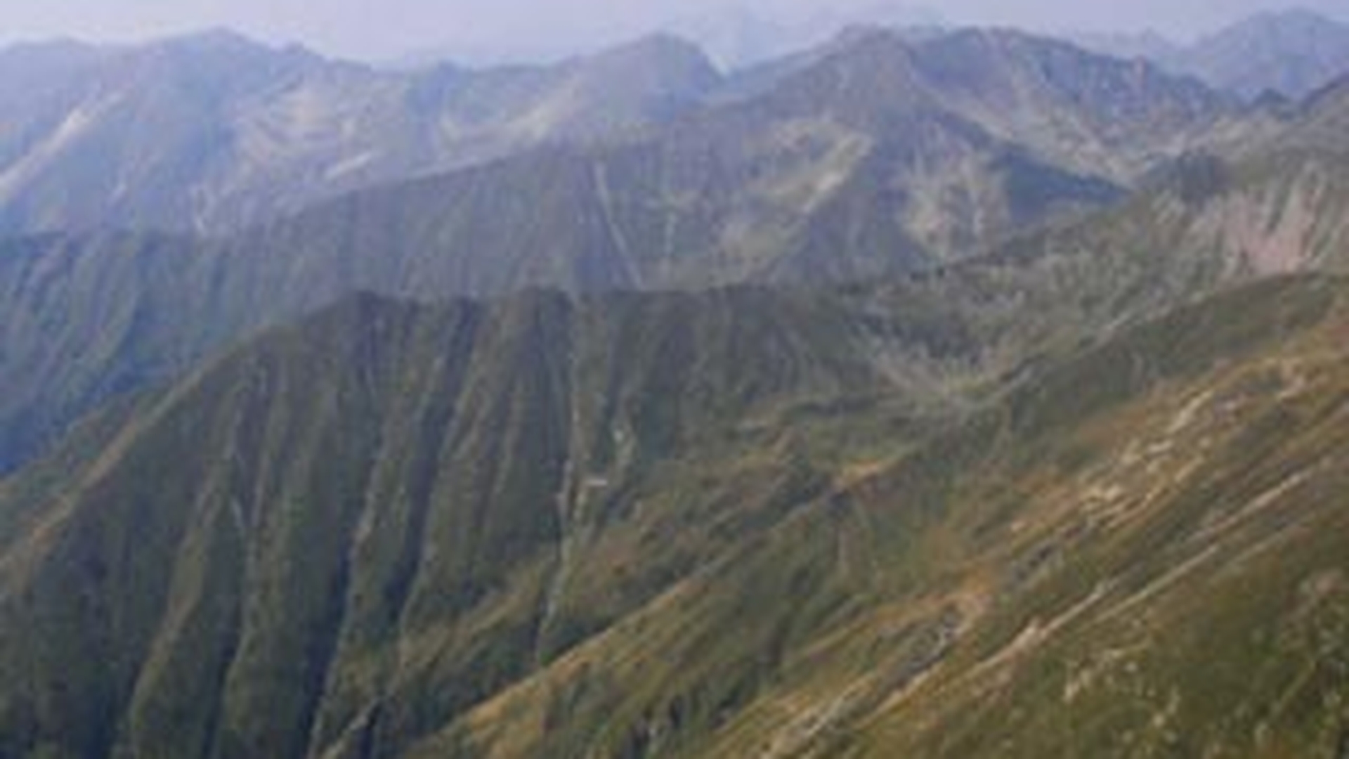 Un elev de 11 ani care era intr-o excursie cu colegii a murit dupa ce a cazut intr-o rapa