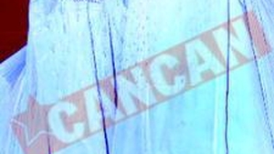 Poligamii fac gaura in bugetul britanic