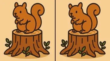 Test de logică | 3 diferențe în maximum 33 de secunde - Le puteți identifica pe toate?