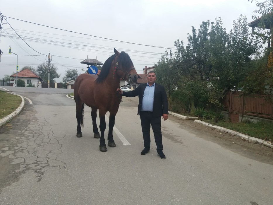 Povestea primarului din Gorj care a sărbătorit în goana calului obținerea unui nou mandat. „«Şoimul» este prietenul meu, care îmi ştie greutăţile”