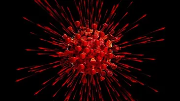 Coronavirusul a mai răpus câteva vieți în România! La cât a ajuns numărul morților din cauza epidemiei de SARS-CoV-2