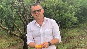 Ce au descoperit polițiștii lângă trupul neînsuflețit al afaceristului găsit mort în pădurea Băneasa